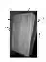 Fig. 03 - PACKAGES AND METHODS FOR STORING AND TRANSPORTING PERISHABLE FOODS