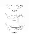 Fig. 21 - Method and system for a towed vessel suitable for transporting liquids