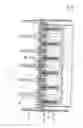 Fig. 09 - Adjustable stalk support device for harvesting stalky stem material