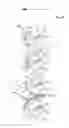 Fig. 12 - Adjustable stalk support device for harvesting stalky stem material