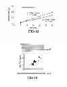 Fig. 10 - System and method for the concentrated collection of airborne particles