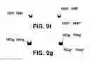 Fig. 07 - Permeability flow cell and hydraulic conductance system