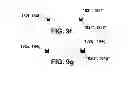 Fig. 07 - PERMEABILITY FLOW CELL AND HYDRAULIC CONDUCTANCE SYSTEM