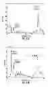 Fig. 16 - Devices, systems, and methods for non-destructive testing of materials and structures