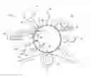 Fig. 01 - IMAGING MEMBER