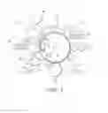 Fig. 02 - IMAGING MEMBER