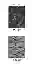 Fig. 04 - TEXTURED IMAGING MEMBER