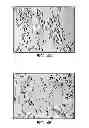 Fig. 06 - TEXTURED IMAGING MEMBER