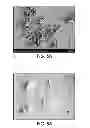Fig. 08 - TEXTURED IMAGING MEMBER