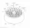 Fig. 08 - Animal feeding apparatus and methods of use