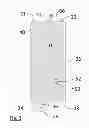Fig. 04 - APPARATUS, METHODS AND ARTICLES OF MANUFACTURE FOR DRY PIPE SPRINKLER SYSTEM