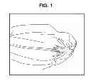 Fig. 02 - Protective Vehicle Cover