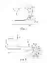 Fig. 02 - METHOD OF APPLYING ADHESIVE COATED FILM
