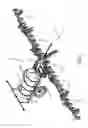 Fig. 02 - Wing folding arrangement for an agricultural implement