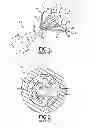 Fig. 02 - S-SHIELD TWISTED PAIR CABLE DESIGN FOR MULTI-GHZ PERFORMANCE