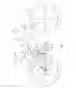 Fig. 02 - Bicycle, in particular mountain bike, with an electrical drive