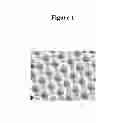 Fig. 02 - Tunable polymer-based sonic structures