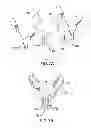 Fig. 09 - Fall protection safety harness