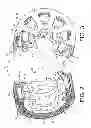 Fig. 03 - Brake for electric motor