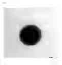Fig. 02 - Finely divided particles of core-shell structure