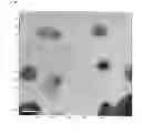 Fig. 07 - Finely divided particles of core-shell structure