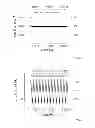 Fig. 06 - Method for pretreating substrates for PVD methods