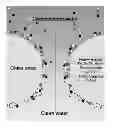 Fig. 01 - Water detoxification by a substrate-bound catecholamine adsorbent