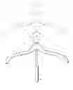 Fig. 01 - Pop-Up Hanger