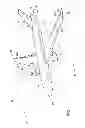 Fig. 02 - Wing fold system with latch pins through multiple mating lugs