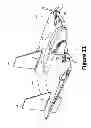 Fig. 19 - Modular miniature unmanned aircraft with vectored-thrust control