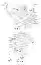Fig. 07 - Medical article securement systems and methods of using same