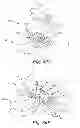 Fig. 22 - Medical article securement systems and methods of using same