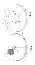 Fig. 03 - MAGNETIC HANGER APPARATUS