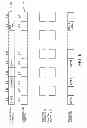 Fig. 07 - Solid-state imaging device with plural CCD registers