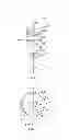 Fig. 04 - Widefield microscope illumination system and widefield illumination method