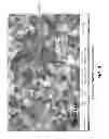 Fig. 04 - System and method for nanostructure apodization mask for transmitter signal suppression in a duplex telescope
