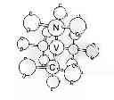 Fig. 01 - Diamond sensors, detectors, and quantum devices