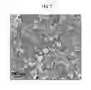 Fig. 08 - Nanoparticles, method of manufacturing nanoparticles, and electronics device including the same