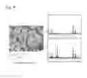 Fig. 05 - Lanthanum boride sintered body and method for producing the same