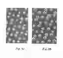 Fig. 08 - Device with nitride nanowires having a shell layer and a continuous layer