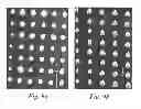 Fig. 09 - Device with nitride nanowires having a shell layer and a continuous layer