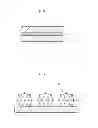 Fig. 02 - Nitride semiconductor device and method of manufacturing the same