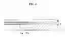 Fig. 07 - ORGANIC LIGHT EMITTING DEVICE AND MANUFACTURING METHOD THEREOF