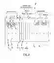 Fig. 02 - SUPER-JUNCTION SEMICONDUCTOR DEVICE