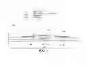 Fig. 17 - Array substrate for organic electroluminescent display device