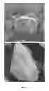 Fig. 06 - Light emitting device having surface-modified quantum dot luminophores