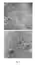 Fig. 07 - Light emitting device having surface-modified quantum dot luminophores