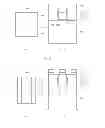 Fig. 04 - Semiconductor device and method for manufacturing the same