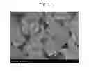 Fig. 05 - CERAMIC FILTER AND METHODS FOR MANUFACTURING AND USING SAME