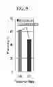 Fig. 10 - CERAMIC FILTER AND METHODS FOR MANUFACTURING AND USING SAME